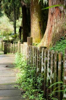 林道 林道の写真