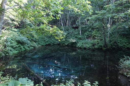 神の子池1 神の子池,ブルー,池の写真素材
