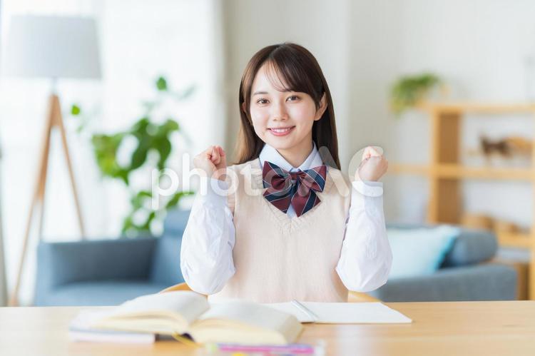 自宅で勉強をする女子高生 高校生,女子,笑顔の写真素材