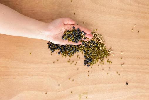 3種類の豆を持つ手 3種類の豆を持つ手の写真