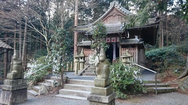 猿丸神社の境内 本殿・猿丸大夫・京都 猿丸神社の境内 本殿・猿丸大夫・京都 猿丸神社,本殿,境内の写真素材