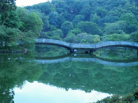 薬師池公園 町田市 薬師池公園 町田市の写真