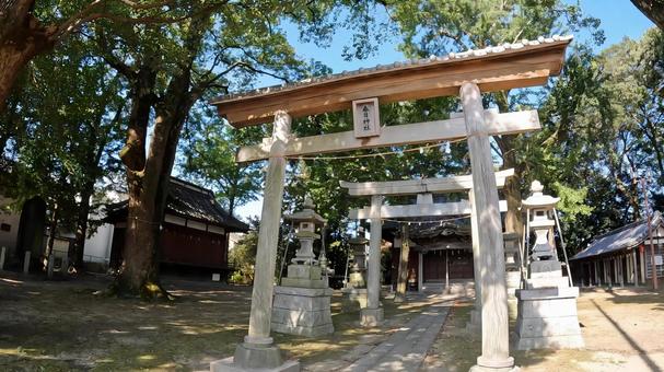 埼玉県行田市行田　 春日神社 鳥居 埼玉,行田市行田,春日神社の写真素材