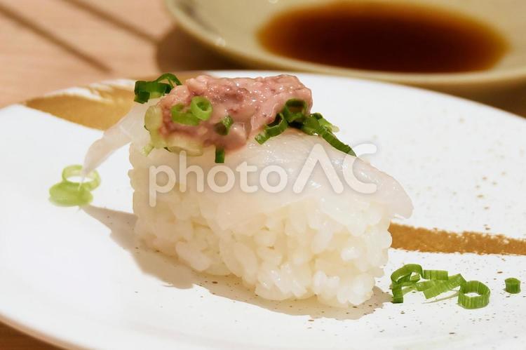 かわはぎの握り寿司 鮨,かわはぎ,寿司の写真素材