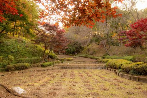 東京の田舎 東京の田舎の写真