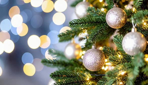クリスマスツリーイルミネーション クリスマスツリーイルミネーションの写真