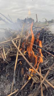 草むら野焼きの炎と煙 焼く,藁,枯れ草の写真素材