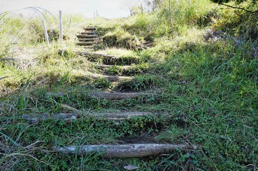 秋の登山道 秋の登山道の写真
