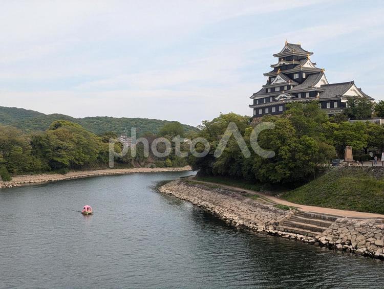岡山城２（岡山城の外観と川に流れるもも） 岡山城,お城,城の写真素材