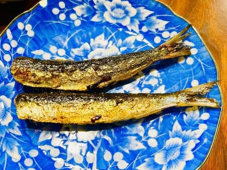 焼き鰯 イワシ,魚,焼き魚の写真素材