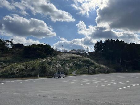 道の駅 鹿児島,風景,いい感じの写真素材