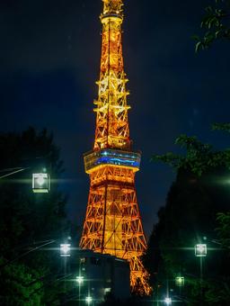 Tokyo Tower night view, JPG