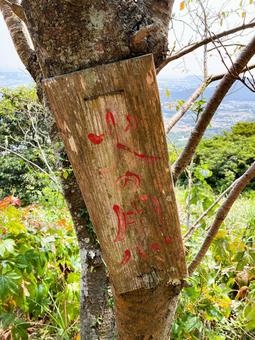 火の用心の看板 火の用心の看板の写真