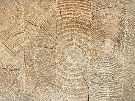 木目背景素材　角材切断面 木目,テクスチャ,背景の写真素材