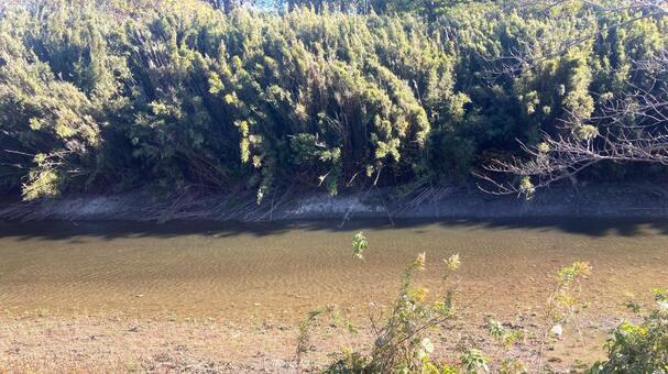 おだやかな川の流れ 自然,風景,川の写真素材