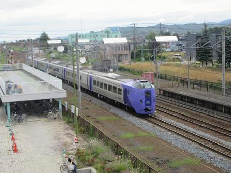 Photo, purple, violet, express, 
