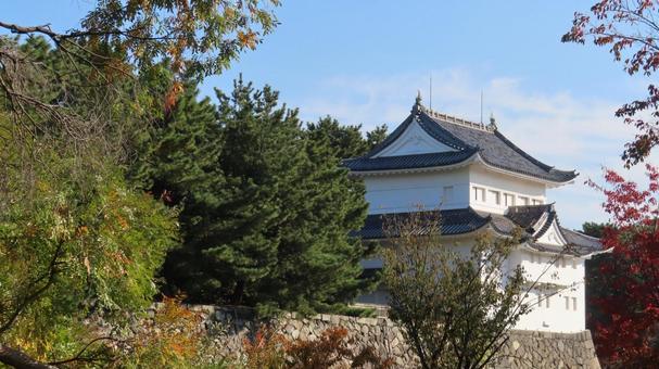 名古屋城　本丸　西南隅櫓 名古屋城,尾張徳川家,御三家の写真素材