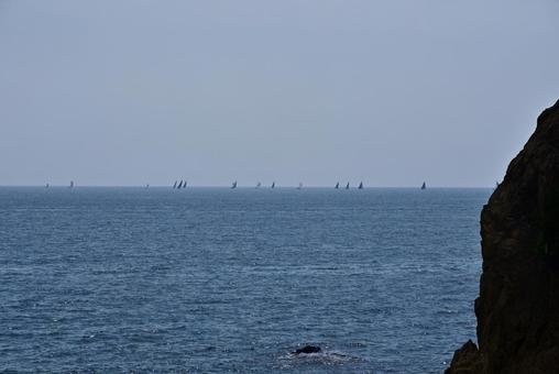 沖のヨットの船団 沖のヨットの船団の写真