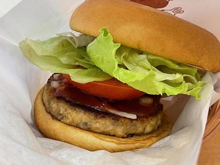 白い紙に包まれた豆腐ハンバーガー 白い紙に包まれた豆腐ハンバーガー 豆腐ハンバーガー,ハンバーガー,レタスの写真素材
