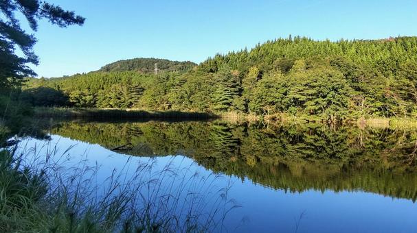 森の水面鏡 水面鏡,水,木の写真素材