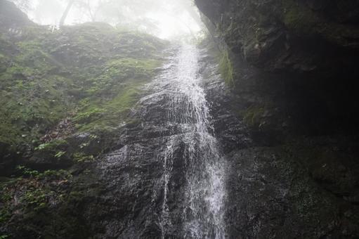滝 滝の写真