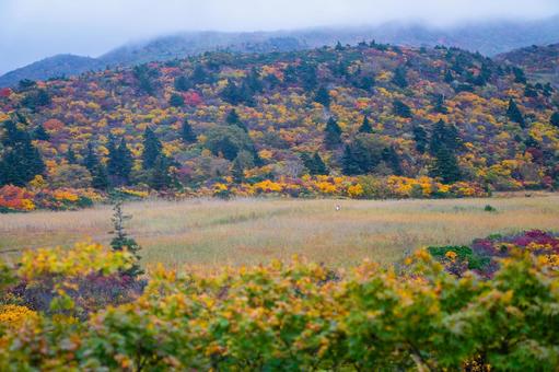 名残ヶ原湿原のと紅葉の山肌 名残ヶ原湿原のと紅葉の山肌 秋,紅葉,黄葉の写真素材