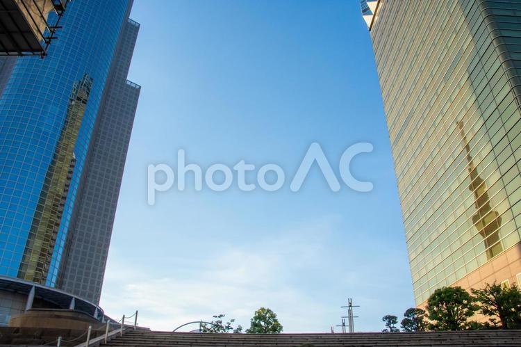 墨田区の街並み 青空,スカイツリー,墨田区の写真素材