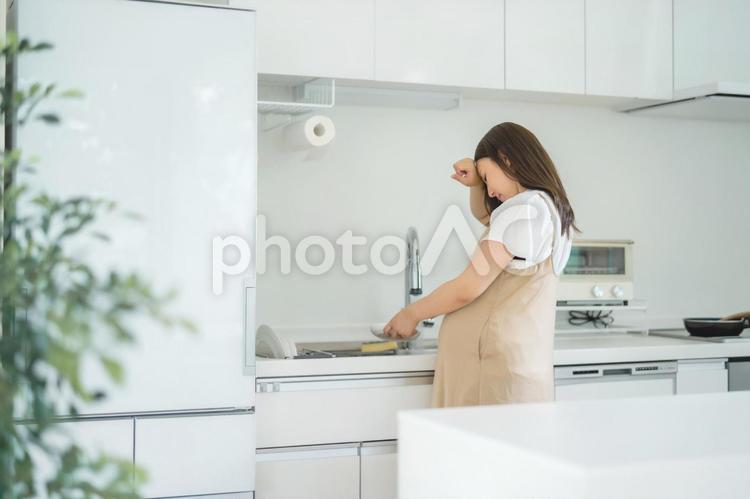 妊娠中に体調不良になる女性（食器洗い） 悪阻,陣痛,家事の写真素材