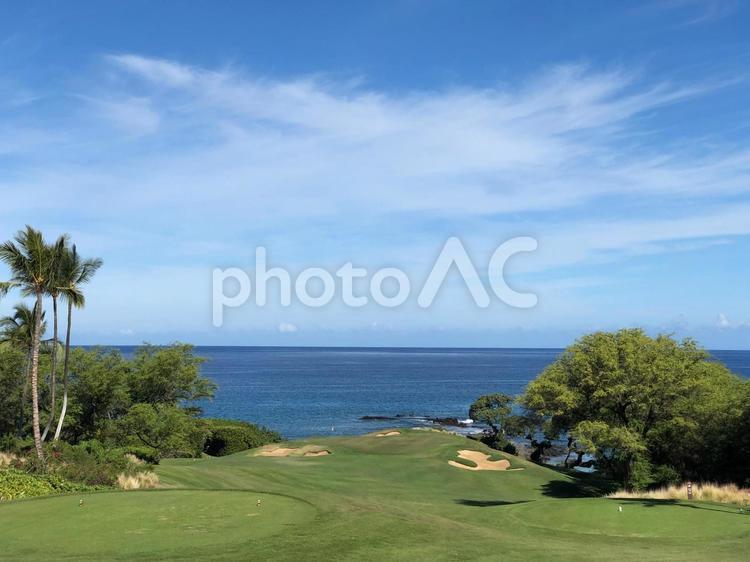 青空とハワイのゴルフ場 ゴルフ,コース,青空の写真素材
