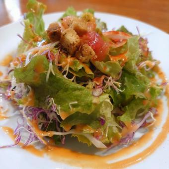 おしゃれなサラダ1 おしゃれなサラダ1 サラダ,野菜,食事の写真素材
