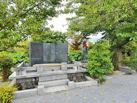 上野公園 東京都台東上野 上野公園 東京都台東上野の写真