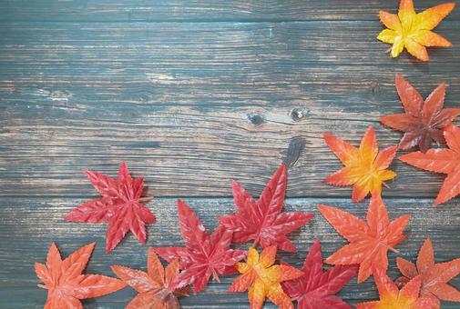 秋 秋 秋,もみじ,紅葉の写真素材