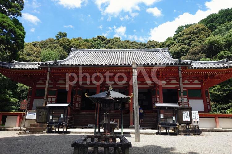 大阪府-観心寺-国宝-金堂 観心寺,寺,檜尾山の写真素材