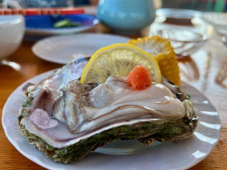 岩牡蠣 岩牡蠣 岩牡蠣,浜茶屋,夏の写真素材