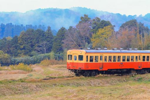 小湊鐵道 小湊鐵道,キハ210,紅葉の写真素材