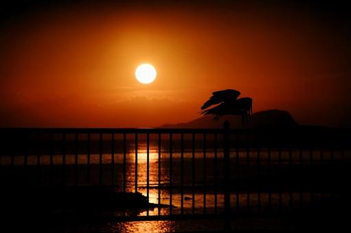 <Goto scenery> Summer sunrise over the sea and a black kite, JPG <Goto scenery> Summer sunrise over the sea and a black kite, JPG