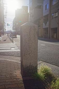逆光の道標 逆光の道標の写真
