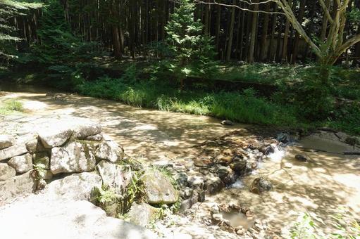 ねむの森_愛知県瀬戸市 ねむの森_愛知県瀬戸市 ねむの森,愛知県,瀬戸市の写真素材