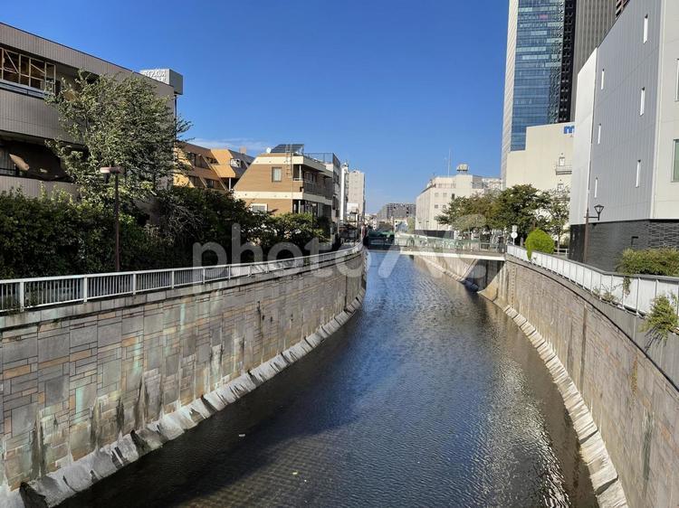 西新宿2023：神田川と豊水橋 神田川,豊水橋,ビルの写真素材