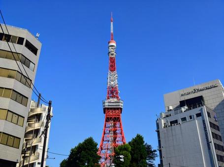 東京タワーと青空 東京タワーと青空の写真