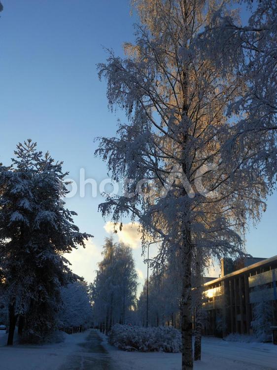 フィンランドの雪景色１１ No 写真素材なら 写真ac 無料 フリー ダウンロードok