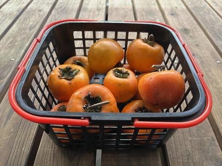 かごに入った柿 かご,網かご,プラスチックの写真素材