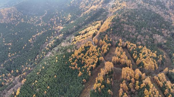 山紅葉005 山,紅葉,山紅葉の写真素材