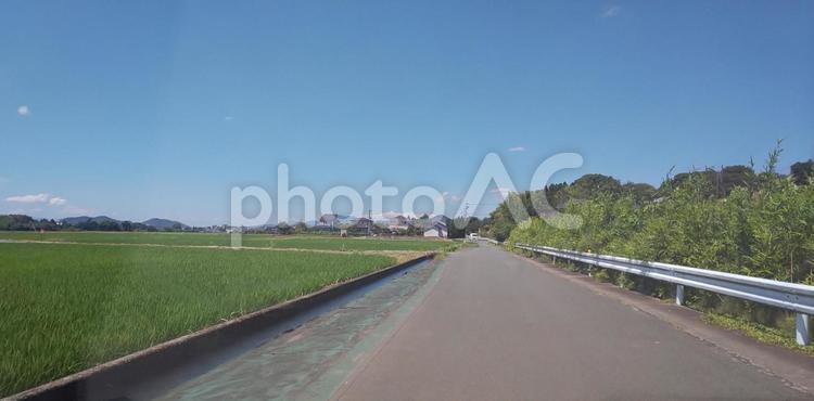 夏の田園風景 道路,自然,風景の写真素材