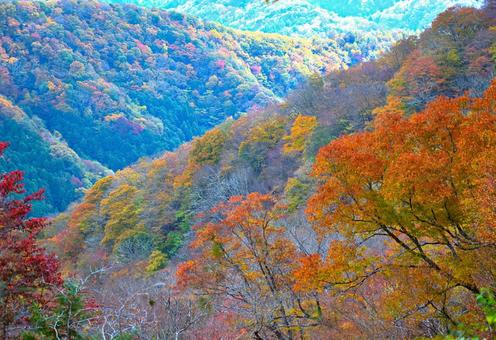 秋の山2 秋の風景,紅葉,秋の写真素材