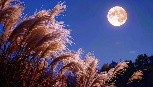 中秋の名月　秋イメージの写真