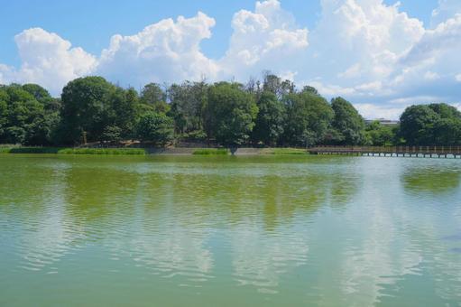 奈良県 橿原神宮 深田池 奈良県 橿原神宮 深田池の写真