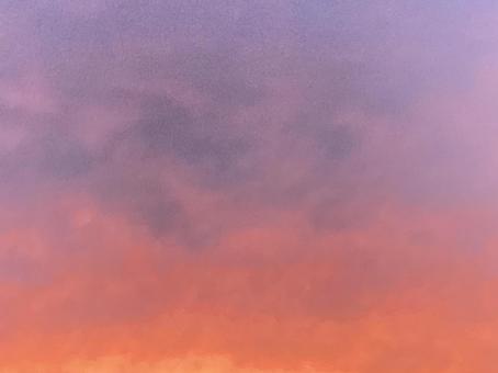 20230810a 20230810aの写真