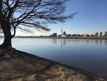 綾瀬川とスカイツリー 綾瀬川とスカイツリー スカイツリー,綾瀬川,河川敷の写真素材