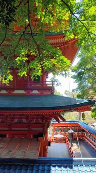 須磨寺 須磨寺の写真